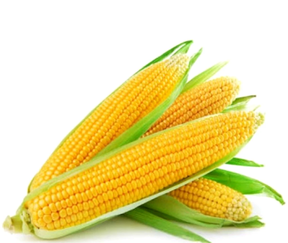 My Chewy Milk Candy Corn Flavour Sweet Good Taste GMP Grade AA Quality Product of Thailand 360 g (100pcs.)