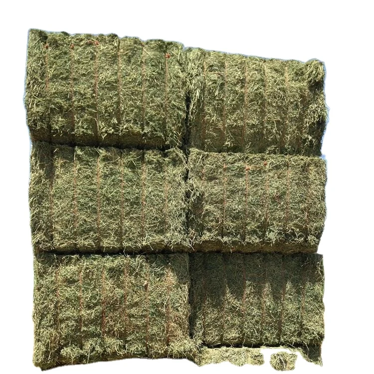Alfalfa Hay for Animal Feed at wholesale price Alfalfa Hay