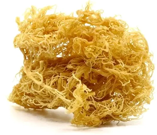 Irish Moss - seamoss raw organic - dried sea moss - Natural Wildcrafted, Pure, Non-GMO Customized Packaging