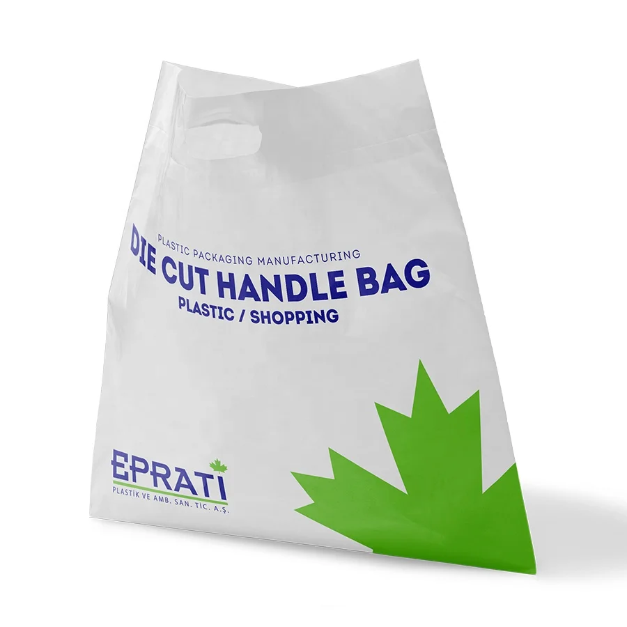 High Quality Biodegradable Low Price Die Cut Handle Bag with Logo for Pharmacy Hospital Use for Medicine Packaging from Turkey