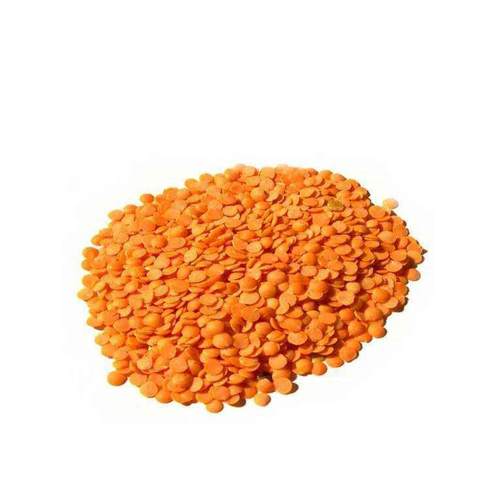Lentils Beans Suppliers for Sale