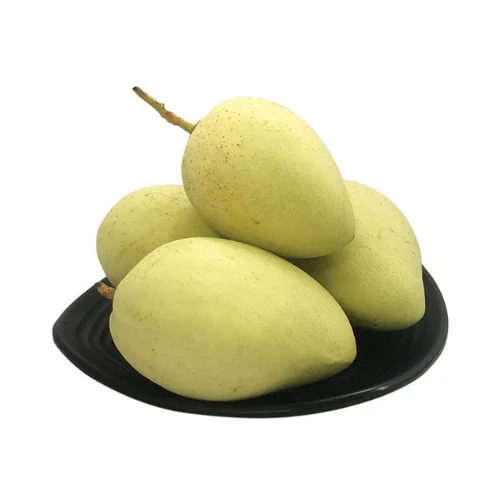New Arrival 2022 High Quality Fresh Cat Chu Yellow Mango From Viet Nam Ready To Ship