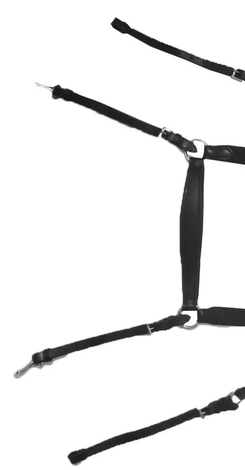 Portable Top Quality Genuine Leather Horse 5 Way Martingale Made of Good Quality  DD Leather with Original Sheep Wool Padding