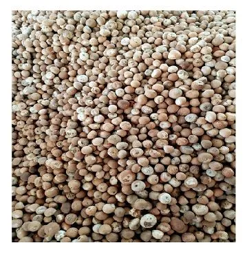 Wholesale High quality Dried Betel nut Cheap price/ holiday