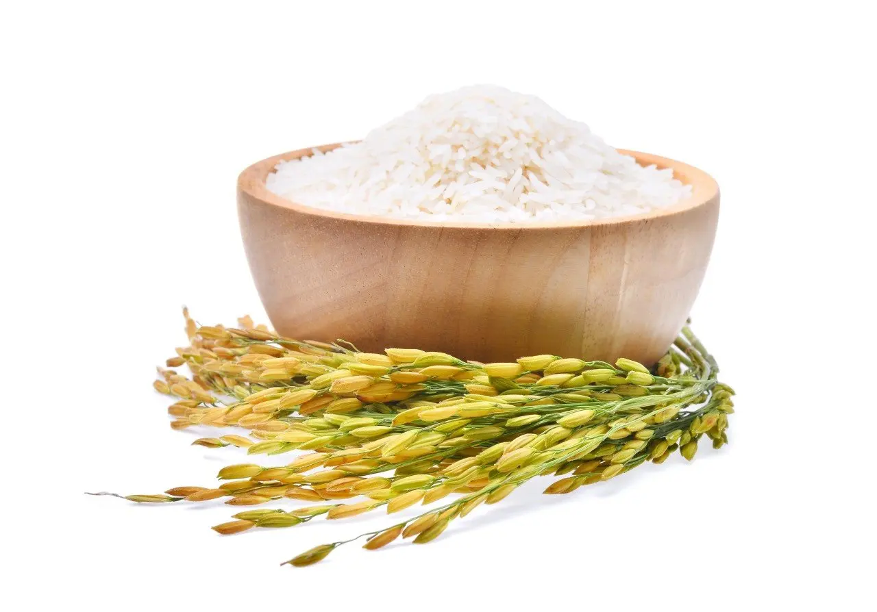 High Quality Long Grain Jasmine Rice From Vietnam with Natural Aroma and 24-Month Shelf Life
