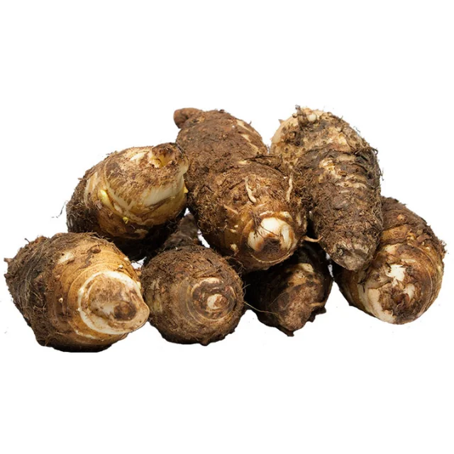 Perfect Export quality fresh Taro new season supply size 60-80