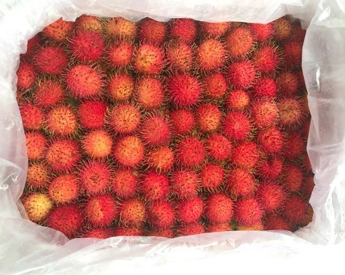 BEST SELLER TROPICAL FRUIT 2022 - WHOLE FRESH RAMBUTAN VIET NAM COMPETITIVE PRICE FLAVOR SWEET NATURAL // MS.DAISY