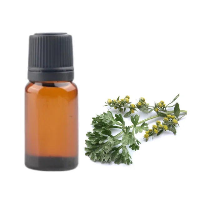 Buy Bulk DAVANA ESSENTIAL OIL Best In Quality Available For Whole Sale Price from indian popular manufacturer