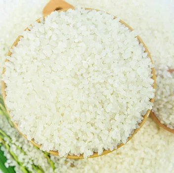 Japonica rice