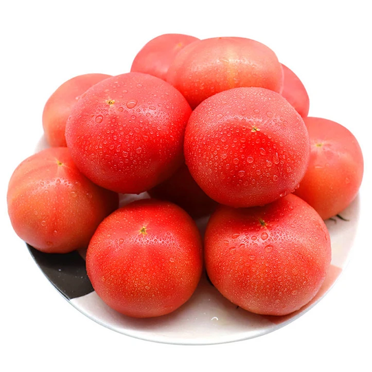 High Quality Fresh Cherry Tomatoes Frozen Produce at Great Price