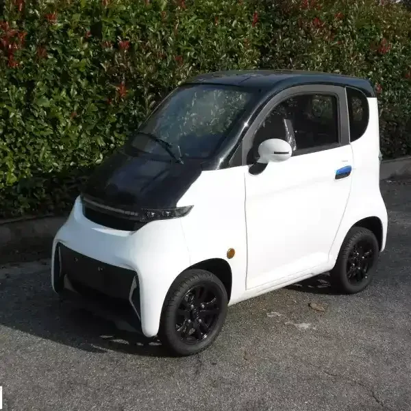 selling cheap electric cars ecc 4 Wheel 2 Door Fully Enclosed scooter electric car no driving license