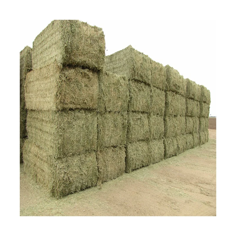 Nw Buy Organic Alfalfa Grass Hay in Pakistan Alfalfa Hay Pellets For Animal Feed For Sale Bulk