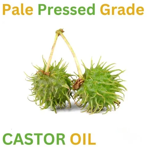Castor Oil Pale Pressed Grade For Industrial Use Available in Best Quality From Indian Exporter and Manufacturer