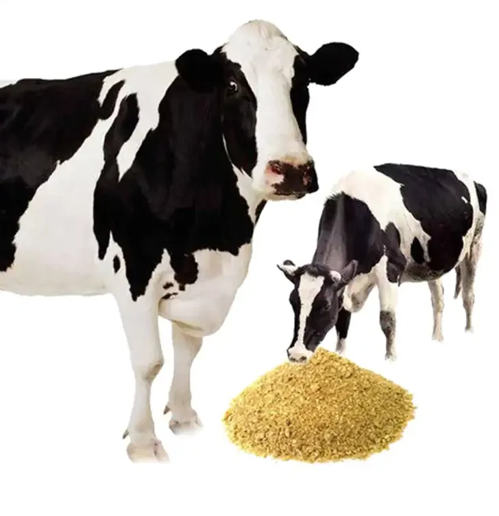 Cheap Wholesale Top Quality Bypass Protein Meal Soy Bypass | Soybean Meal Animal Feed In Bulk