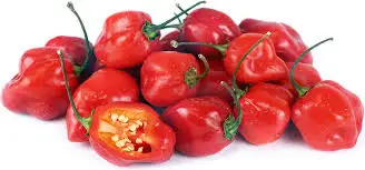 Органический Habanero свежий перец оптом по самой