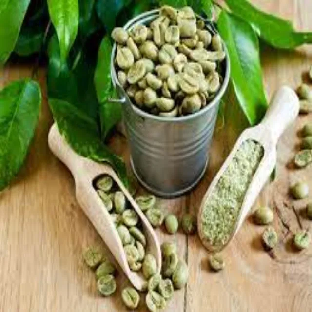 Green Coffee Beans in Bulk Wholesale Coffee Suppliers Organic Green Coffee