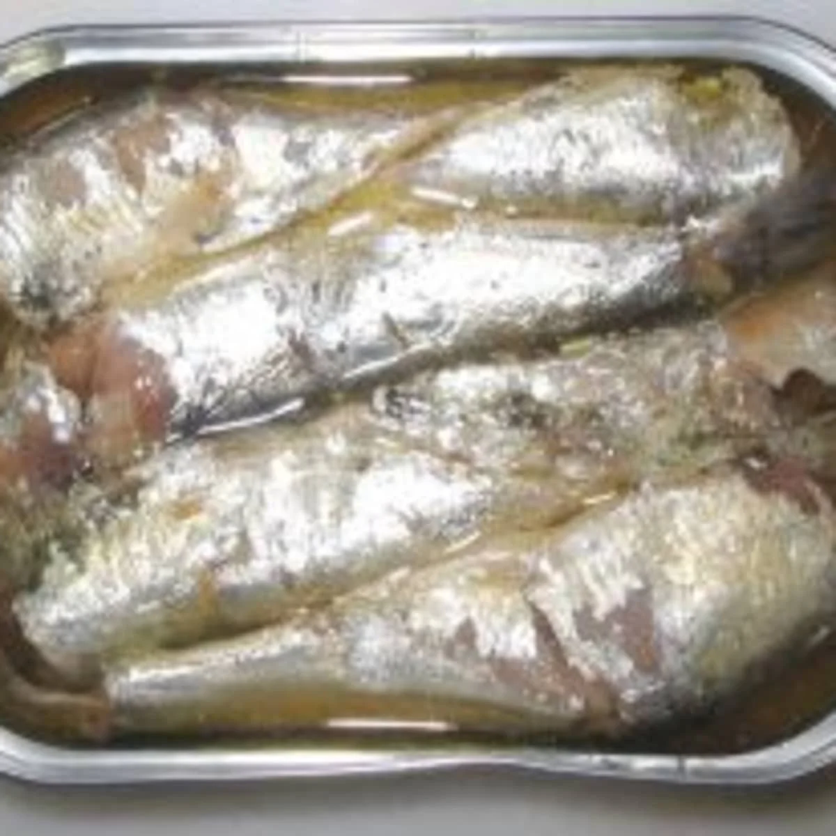 Factory Directly Canned Sardine fish in vegetable oil flat can canned fish seafood