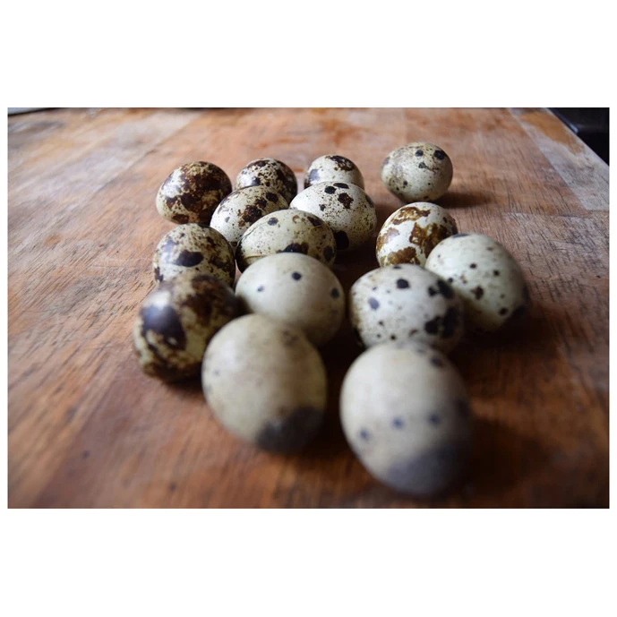 Farm Fresh quail Table Eggs Brown and White Shell quail Eggs Color Shelf Origin Top Grade Fresh Eggs Wholesale Price Fresh