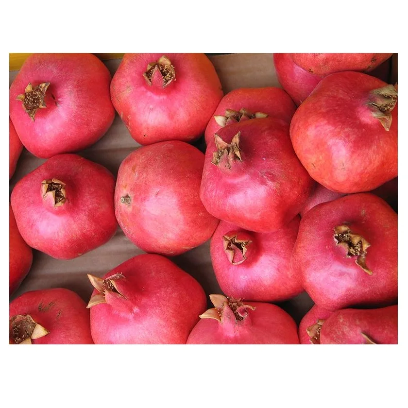 Top Quality Fresh Fruits Pomegranates For Sale At Best Price