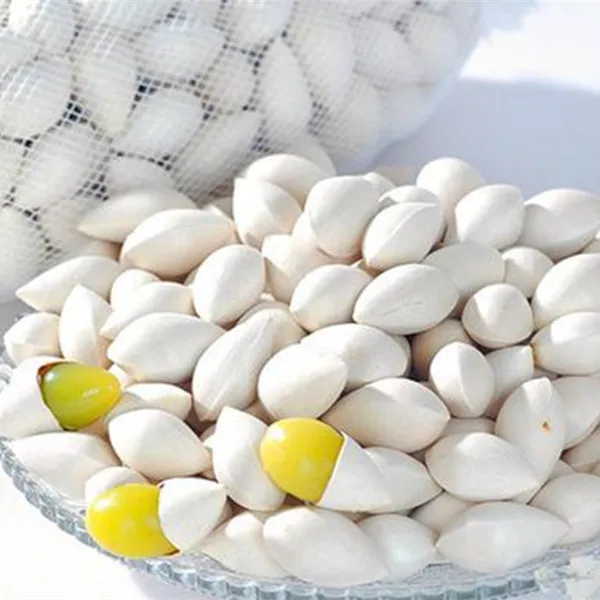 High Quality Ginkgo Nuts Dried Whole from China