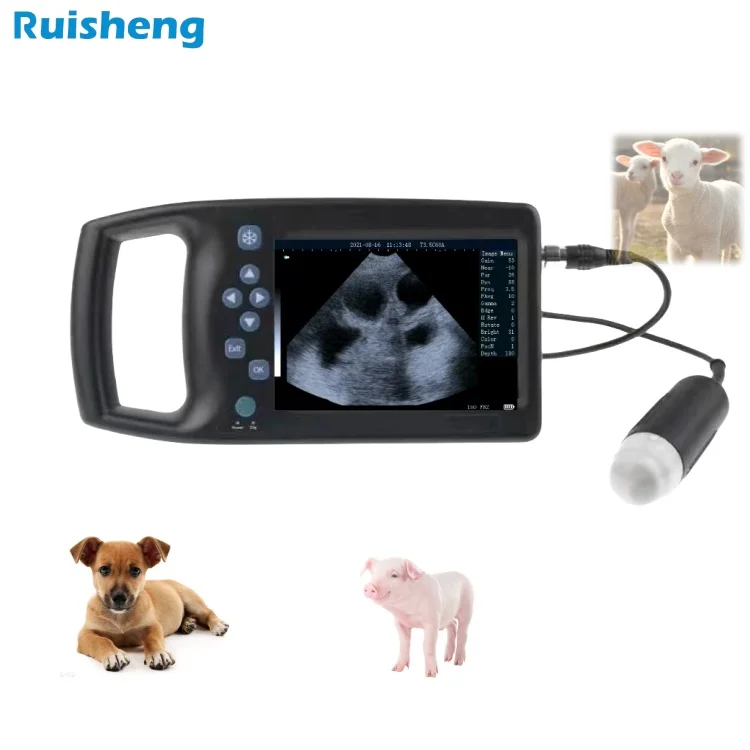 RS-M6 Vet Ultrasound Equipment Veterinary Ultrasound Machine Handheld Veterinary Portable Ultrasound Scanner