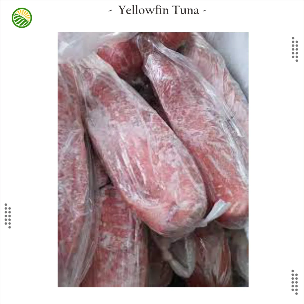 Yellowfin Tuna Loin Frozen from Indonesia Export Quality