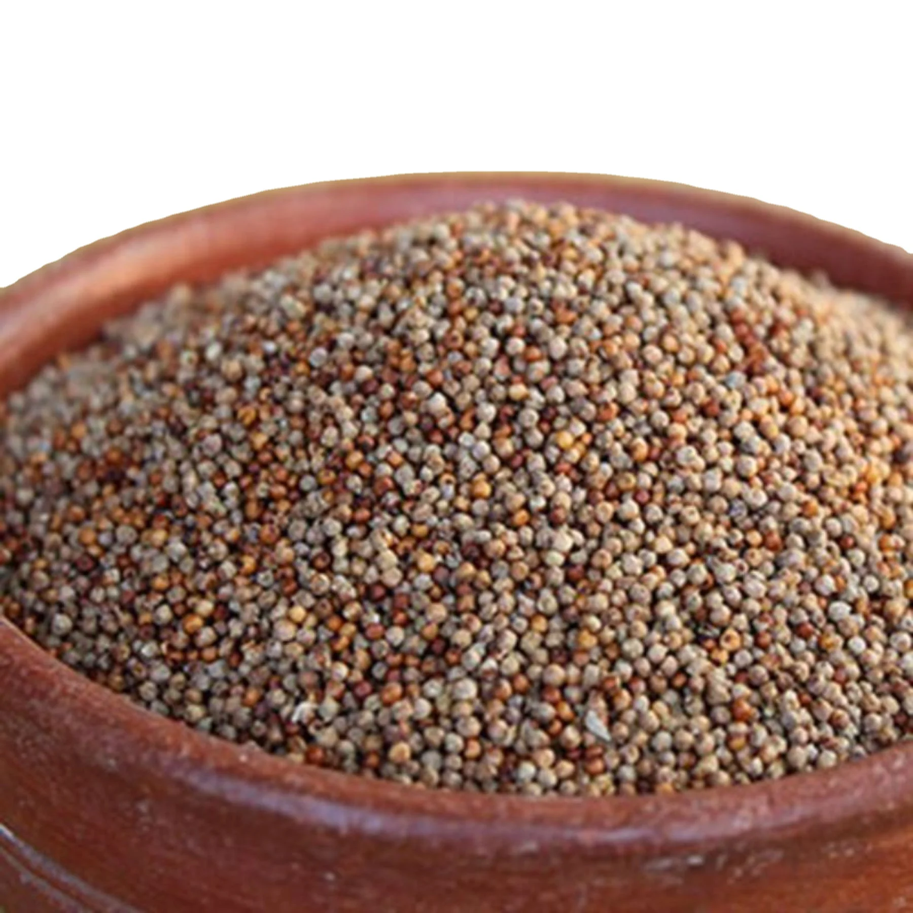 Supplier of Green millet bajra in Somalia for human  / Human  / human feed