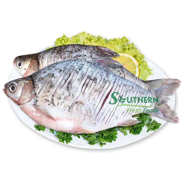 Farm Raised SFF Price style fresh package IQF origin vacuum bag other fish Frozen Salted Silver Carp from Vietnam