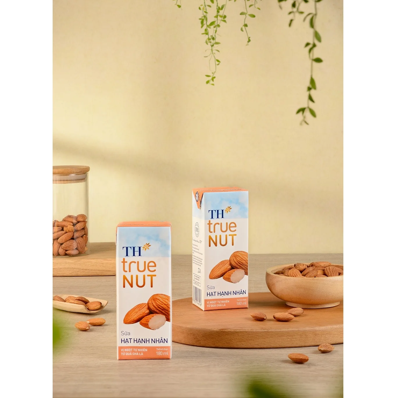 Almond Milk TH true NUT 180 ml Sterilized 9 Months Shelf Life Blended Dairy Products Drink Flavored Milk Nut Milk