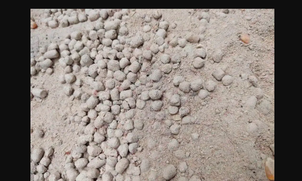 Rice Bran De Oiled - DORB Manufacturer of Bulk Sale High Quality  Animal Feed fish meal bulk supply at low price for wholesalers