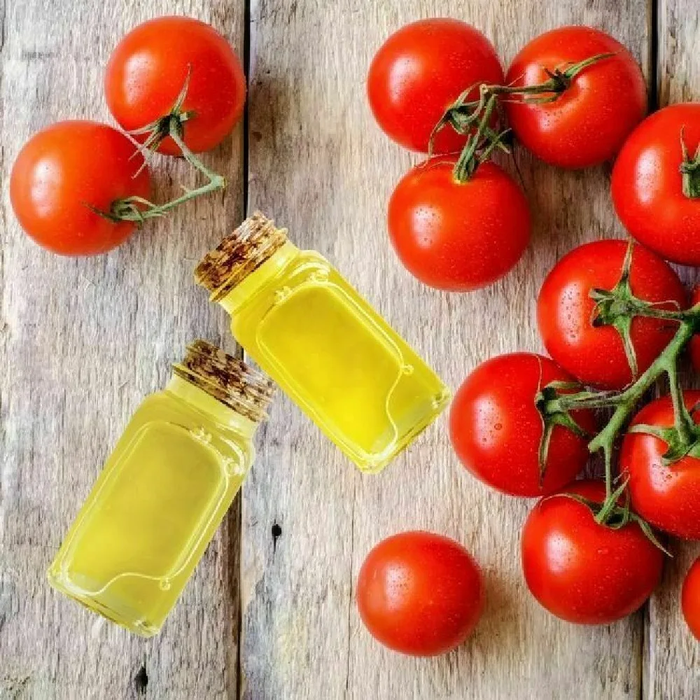 Wholesale Selling Superb Quality 100% Pure & Natural Cold Pressed Tomato Seed for Skin Care Cosmetic Use by Bulk Supplier