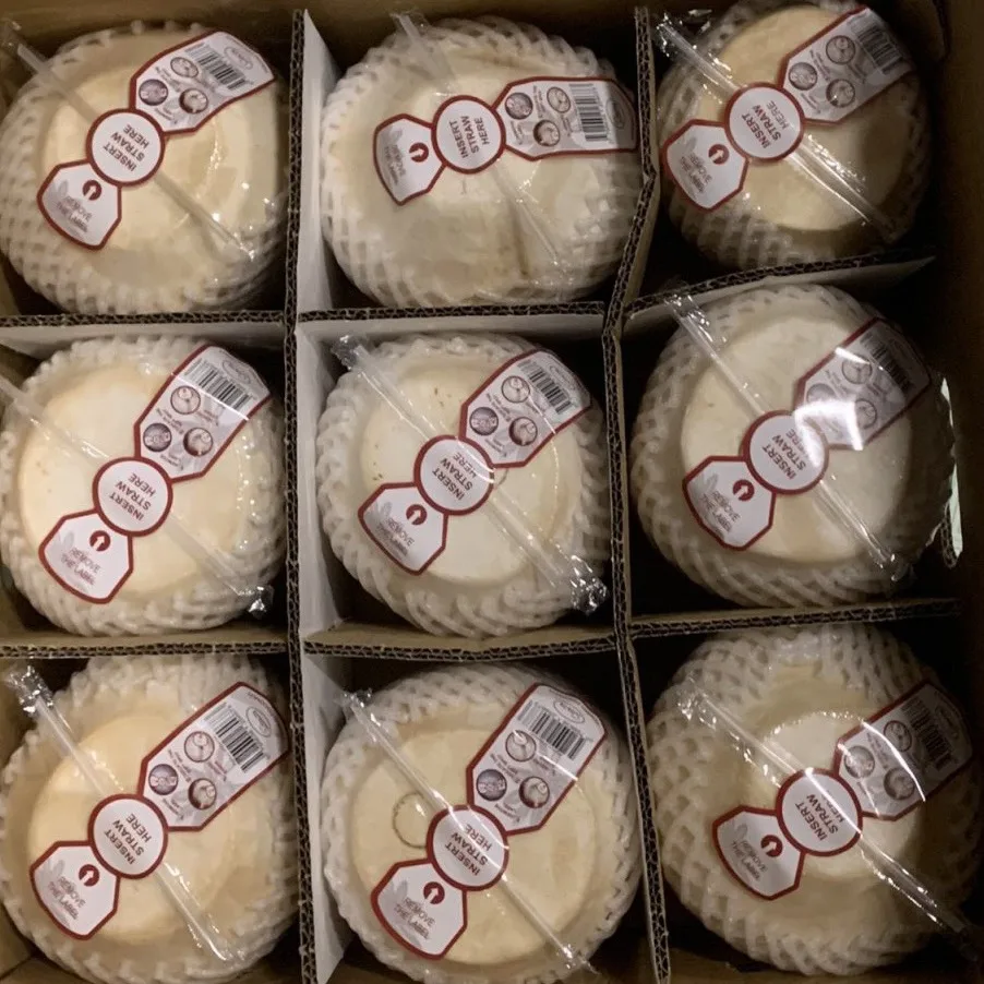 Wholesale High Quality Cheap Price FRESH YOUNG COCONUT From Viet Nam
