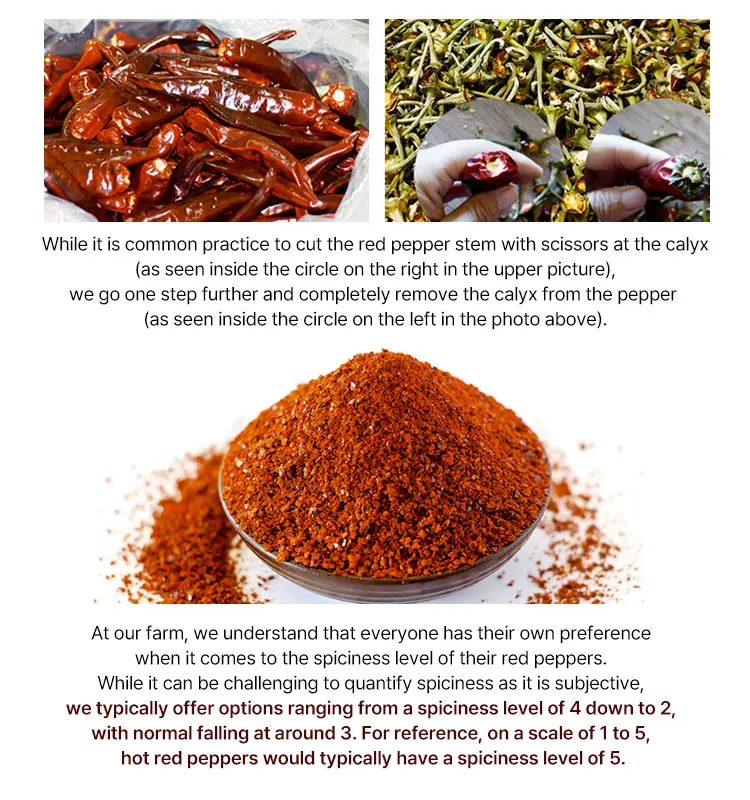 CYSO Korean Organic Red Pepper Flakes Chili Powder Flakes 200g Spicy Seasoning for Kimchi or Asian dishes K Food