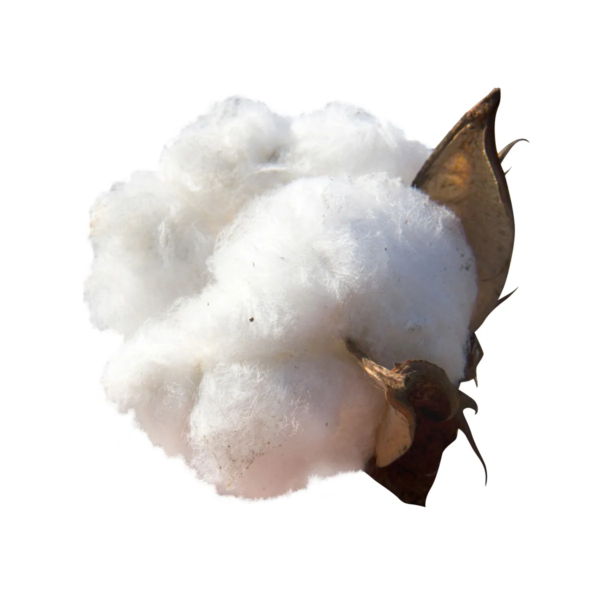Great quality loose cotton pulp cellulose in bulk product of Uzbekistan custom production available