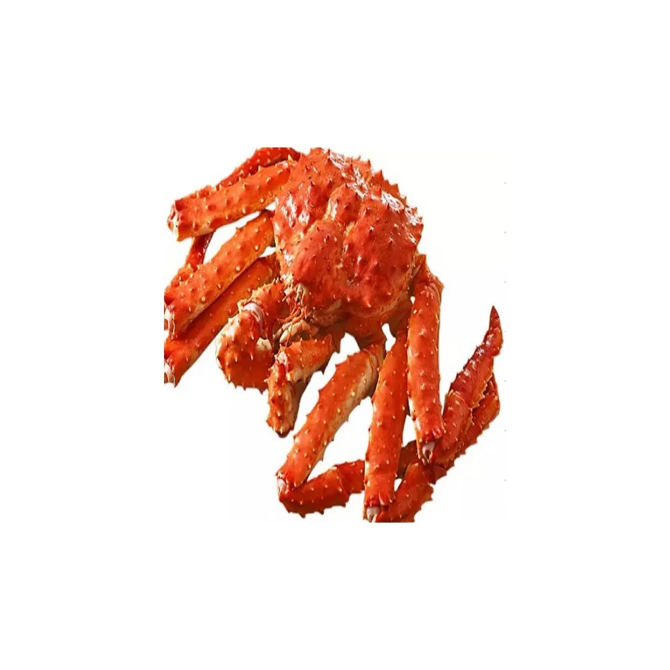 Fresh Frozen and Live Mud Crabs Red King Crabs Soft Shell