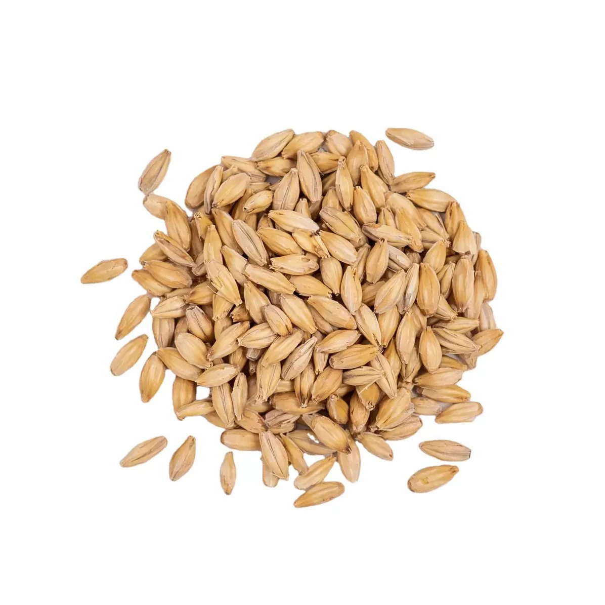 Bulk Malted Barley, Barley Grain Ready For Export