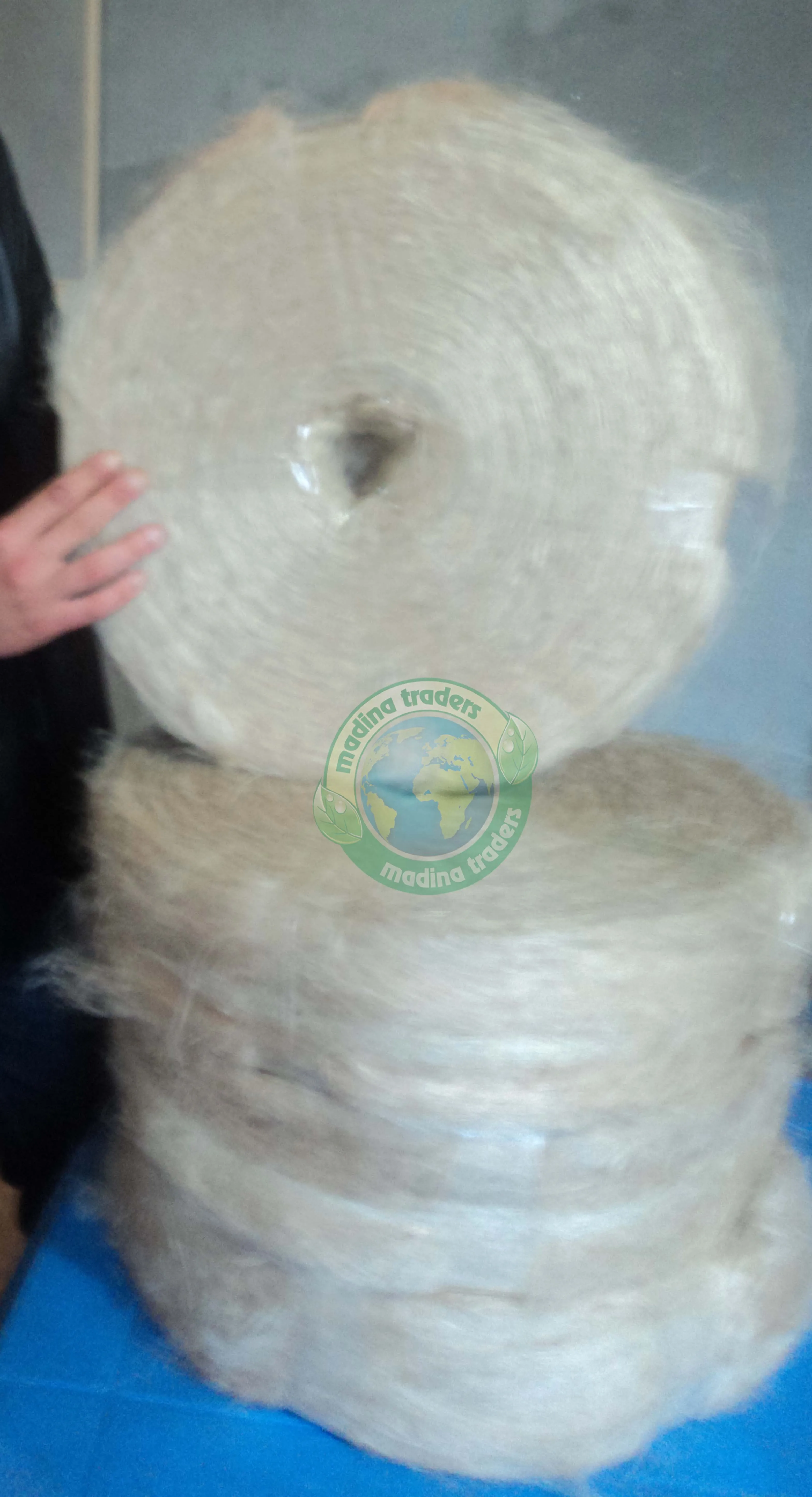High Quality Wholesale Price Jute Filasse Fiber for Gypsum plaster Sliver Feature Eco Biodegradable from Bangladesh
