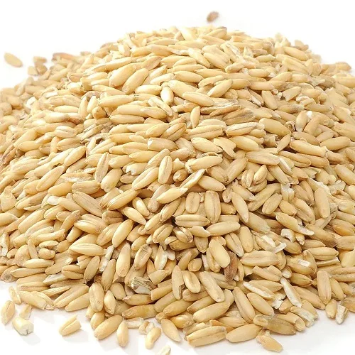 New arrival Quality Soft and Hard Wheat Grains / Premium Quality Soft Milling Wheat 100% Pure High Quality Wheat, At Low Price