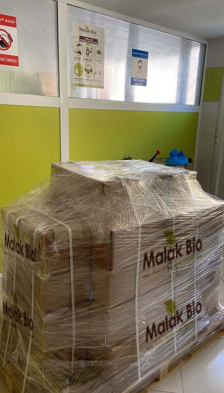 palette export malak bio.jpg