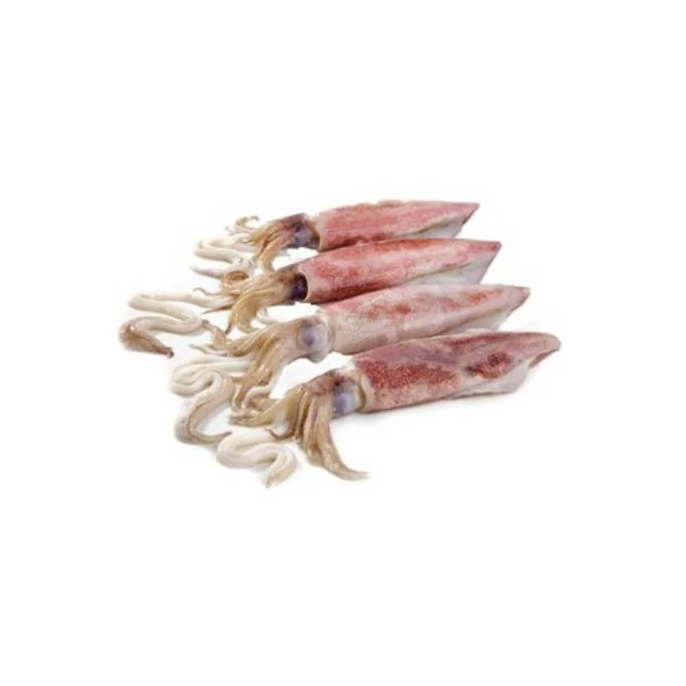 Frozen Loligo Squid by Al Tawakal Whole Frozen Loligo Squid in Bulk Quantity Frozen Loligo Squid Calamari for Bulk Shipments