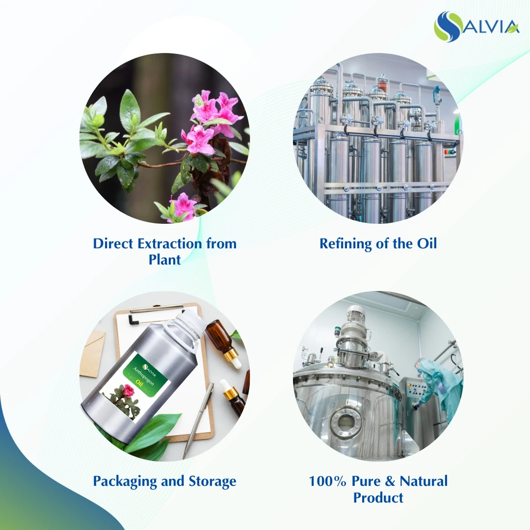 Anthopogono Oil Oil 100% Pure and Natural Wholesale Bulk Lowest Price Customized Packaging