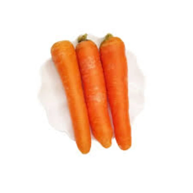 Fresh sweet Carrot With Good Price Fresh Carrot Ready For Sale/Fresh Carrot Cheap Price Low MOQ Best Quality