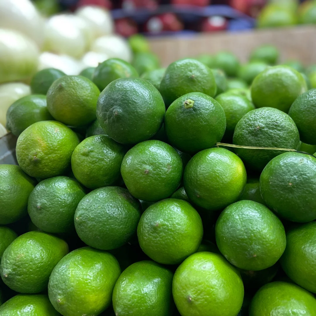 Organic Fresh seedless lime/green lemon fresh fruit without seed from Vietnam high quality wholesales