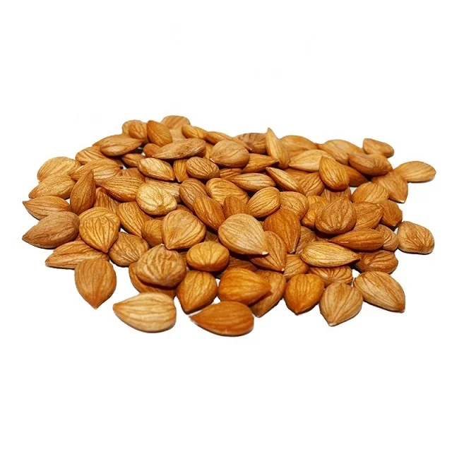Great Price Fast Shipping Dried Apricot fresh apricot kernels