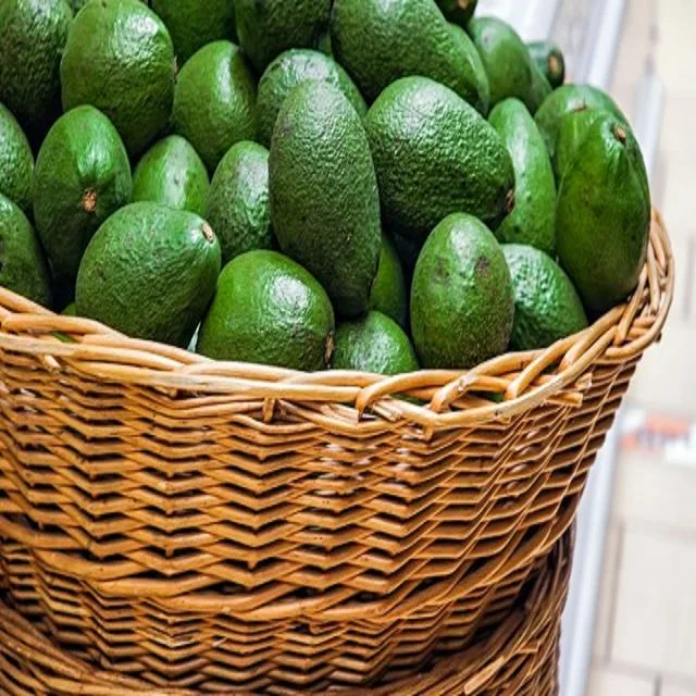 Fresh Premium Avocado From Mexico - High Quality, Best Price, Directly From Producers Low Price