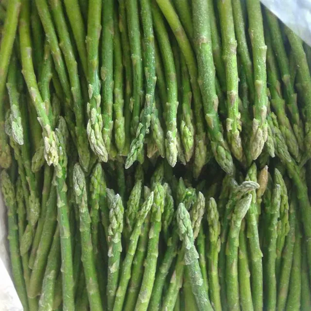 HOT SALE FRESH ASPARAGUS / FROZEN ASPARAGUS