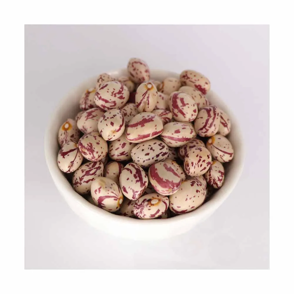Wholesale Price Light Speckled Kidney Beans Factory Manufacture Dry Pinto Kidney Bean