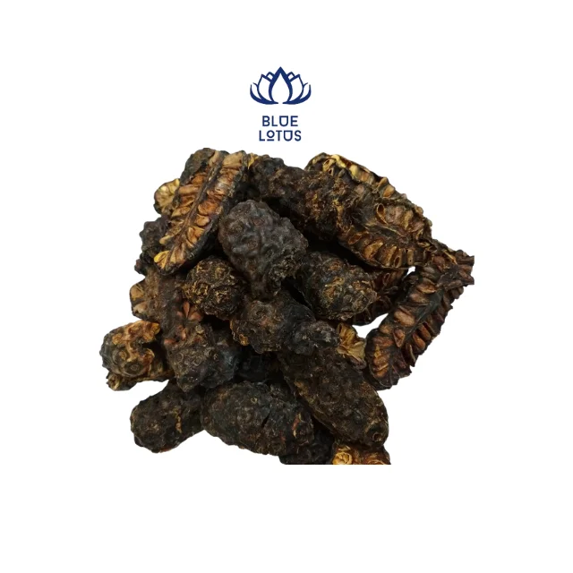 Vietnam Dried Noni Fruit