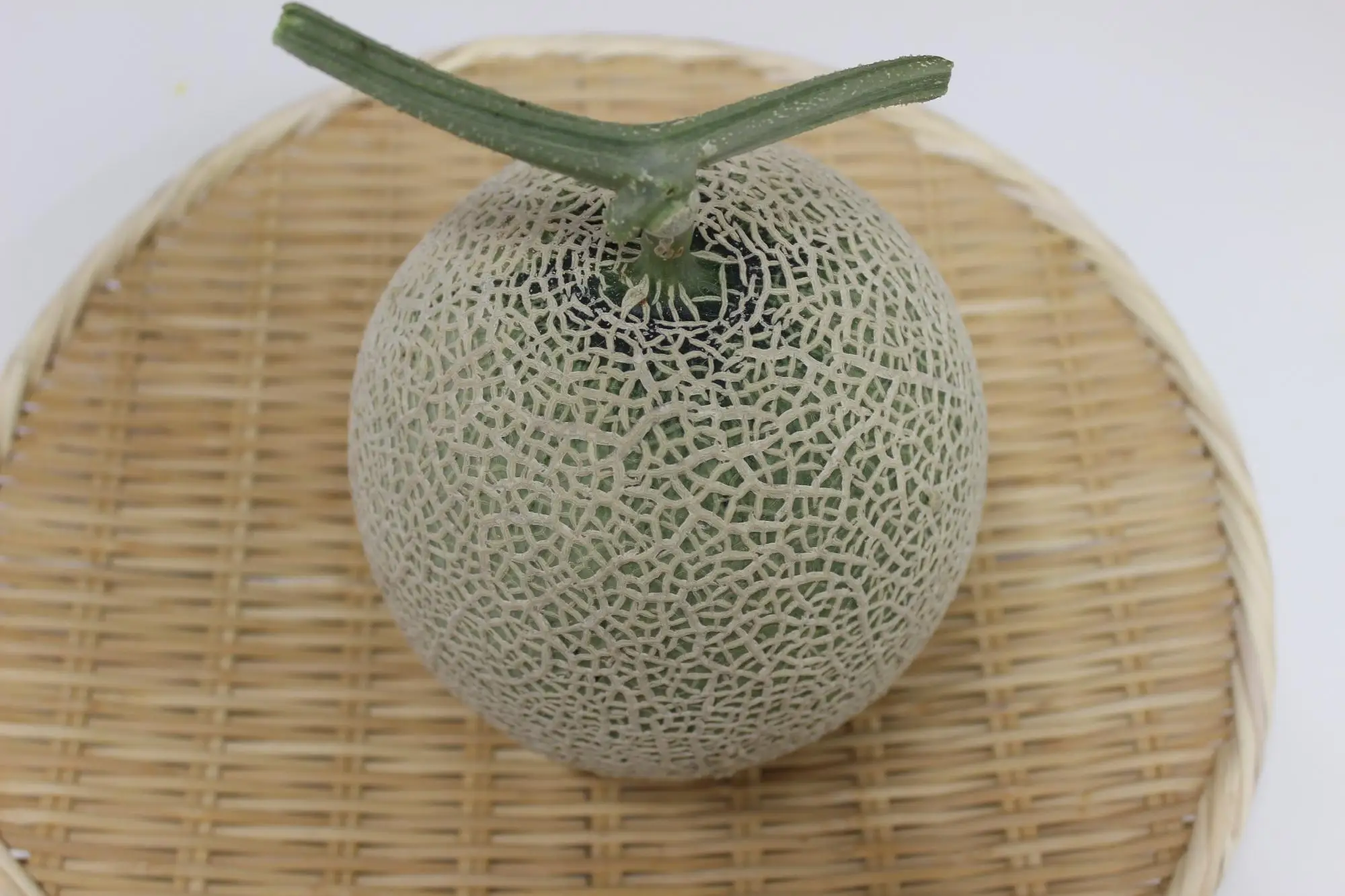 Japanese Musk Melon - Earls Melon