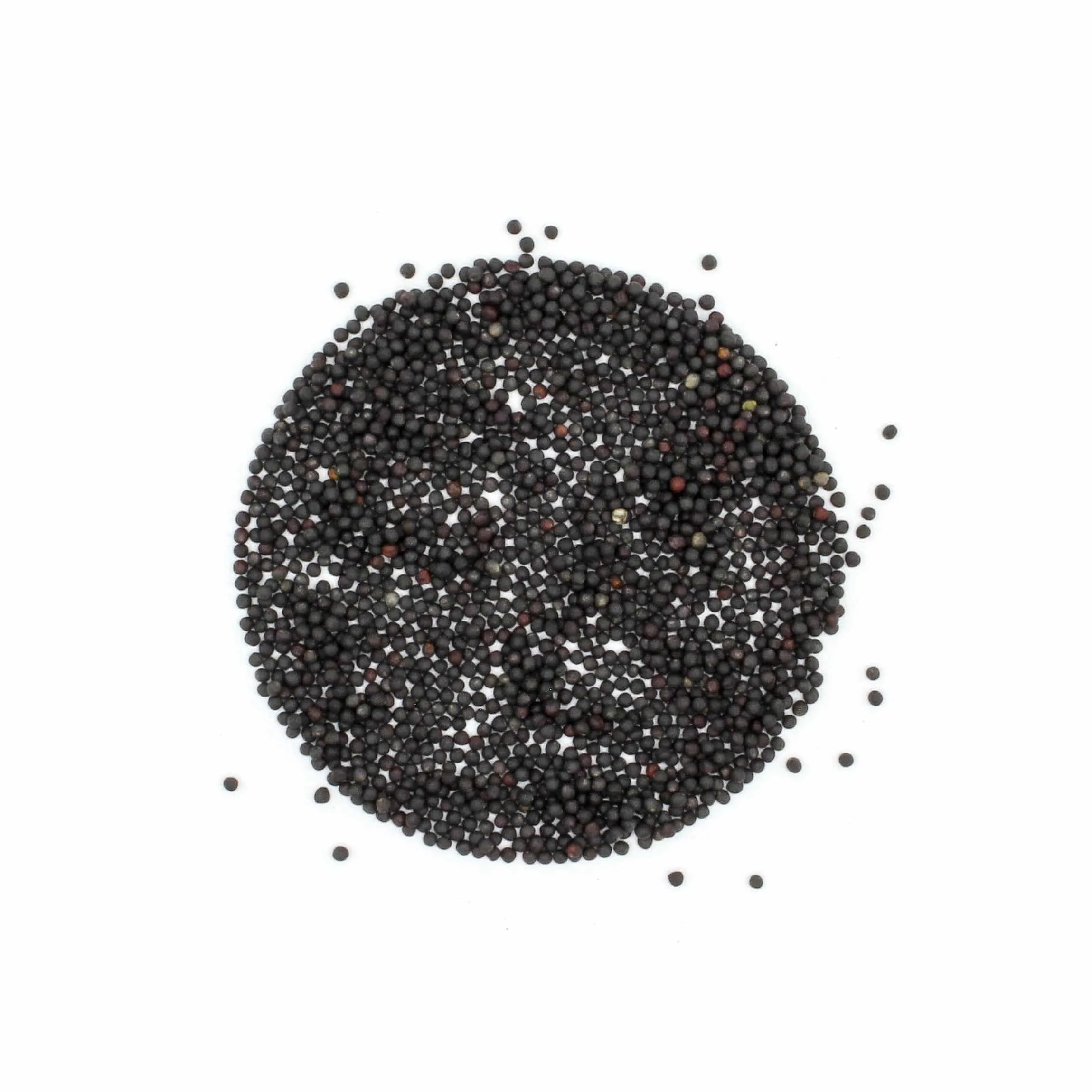 Wholesale Prices Rapeseed Canola Seed Price Rape Seed Canola Seeds for Sale